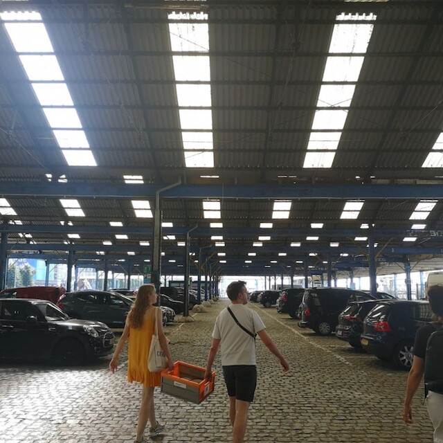 VIVA EATS: Lunch break in our front yard!