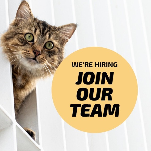 Heb je meer dan 5 jaar ervaring en wil je bij…