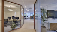 Circular interior renovation and office optimization in Antwerp