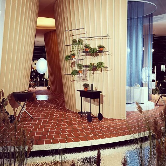 Getting inspired by #dashaus2020 @immcologne