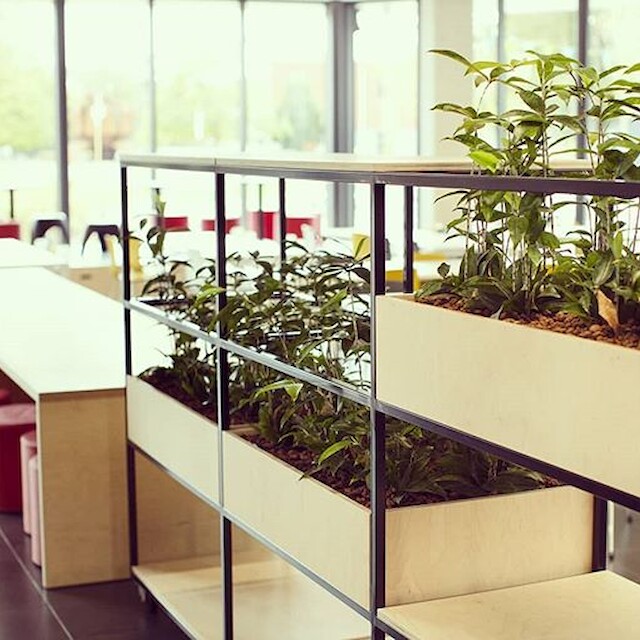 PICK A SEAT: adding some plants & colorful seats…