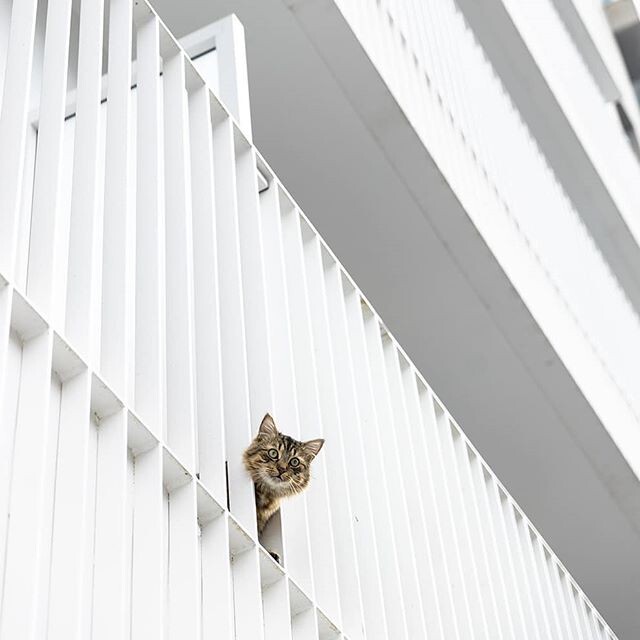 WHITE HOUSING: Proud of our latest delivered…