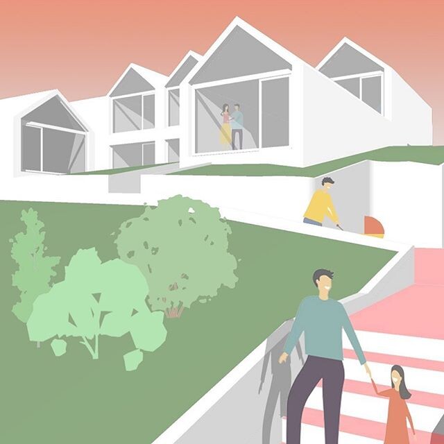 BUILDING WITH CLT: Modular and circular…