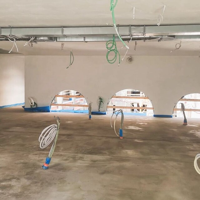 THE DUKE: arched windows ⁠ … ⁠ … #vivaonsite…